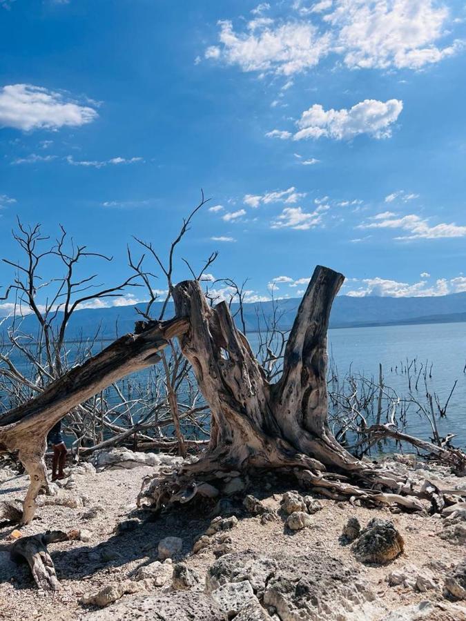 Lago Enriquillo Resort Cerro Al Medio Ngoại thất bức ảnh